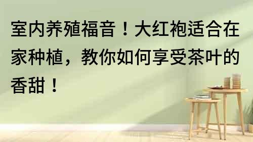 室內(nèi)養(yǎng)殖福音！大紅袍適合在家種植，教你如何享受茶葉的香甜！