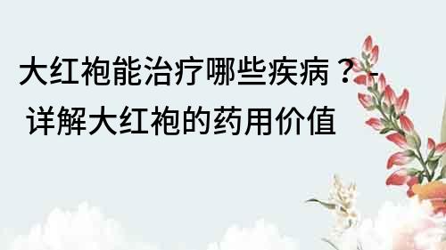 大紅袍能治療哪些疾病？ - 詳解大紅袍的藥用價(jià)值