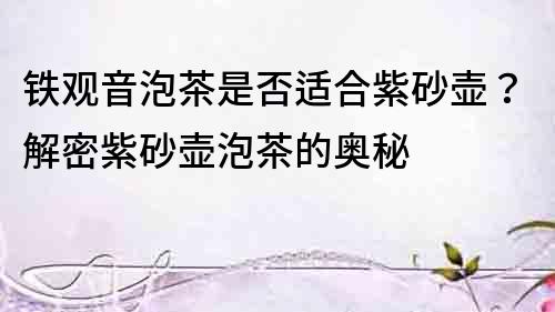 鐵觀音泡茶是否適合紫砂壺？解密紫砂壺泡茶的奧秘
