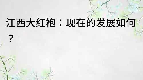江西大紅袍：現在的發展如何？