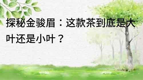 探秘金駿眉：這款茶到底是大葉還是小葉？