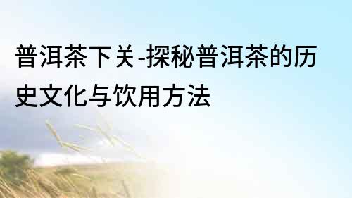 普洱茶下關-探秘普洱茶的歷史文化與飲用方法