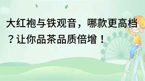 大紅袍與鐵觀音，哪款更高檔？讓你品茶品質(zhì)倍增！