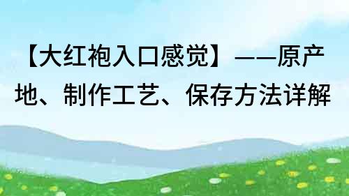 【大紅袍入口感覺】——原產地、制作工藝、保存方法詳解