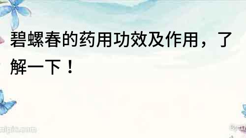 碧螺春的藥用功效及作用，了解一下！