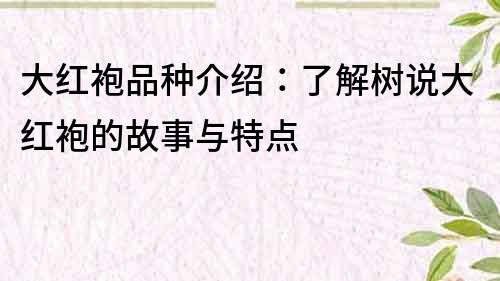 大紅袍品種介紹：了解樹說大紅袍的故事與特點