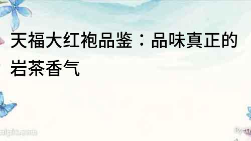 天福大紅袍品鑒：品味真正的巖茶香氣