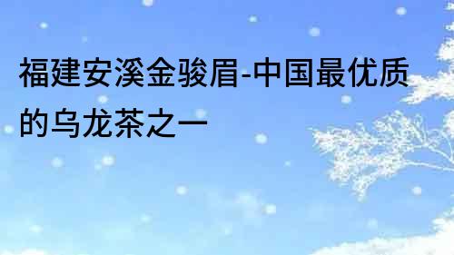福建安溪金駿眉-中國最優質的烏龍茶之一