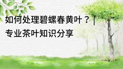 如何處理碧螺春黃葉？ | 專業茶葉知識分享
