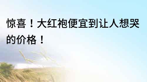 驚喜！大紅袍便宜到讓人想哭的價(jià)格！