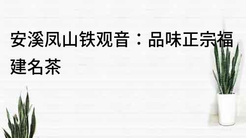 安溪鳳山鐵觀音：品味正宗福建名茶