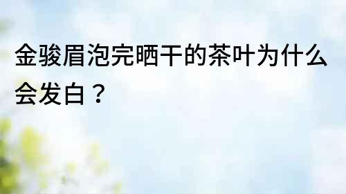 金駿眉泡完曬干的茶葉為什么會(huì)發(fā)白？