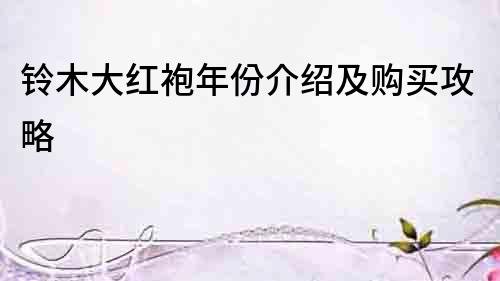 鈴木大紅袍年份介紹及購買攻略