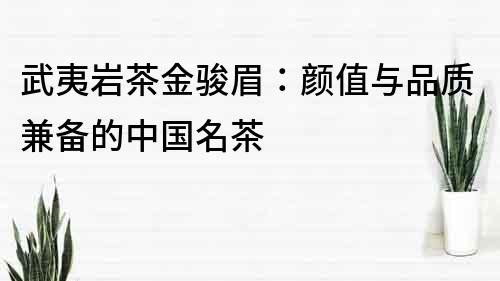 武夷巖茶金駿眉：顏值與品質(zhì)兼?zhèn)涞闹袊?guó)名茶