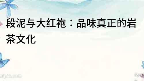 段泥與大紅袍：品味真正的巖茶文化