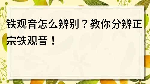 鐵觀音怎么辨別？教你分辨正宗鐵觀音！