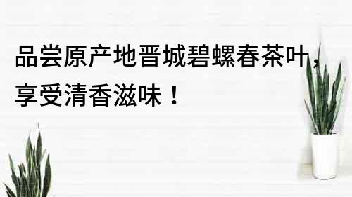 品嘗原產地晉城碧螺春茶葉，享受清香滋味！