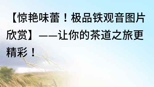 【驚艷味蕾！極品鐵觀音圖片欣賞】——讓你的茶道之旅更精彩！