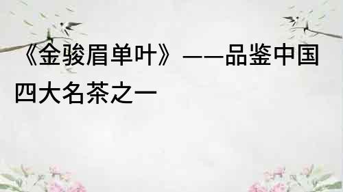 《金駿眉單葉》——品鑒中國四大名茶之一