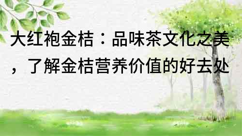 大紅袍金桔：品味茶文化之美，了解金桔營養價值的好去處