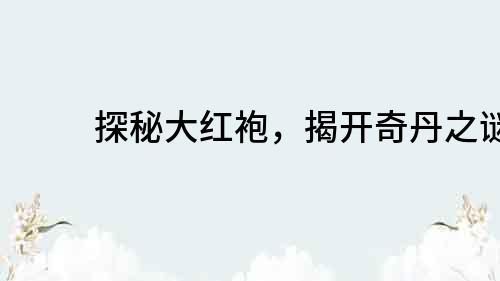 探秘大紅袍，揭開奇丹之謎