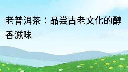 老普洱茶：品嘗古老文化的醇香滋味