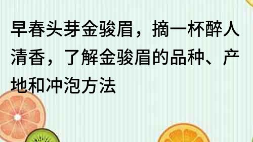 早春頭芽金駿眉，摘一杯醉人清香，了解金駿眉的品種、產地和沖泡方法