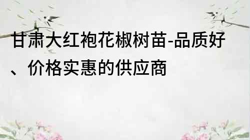 甘肅大紅袍花椒樹苗-品質好、價格實惠的供應商