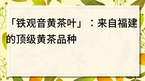 「鐵觀音黃茶葉」：來自福建的頂級黃茶品種