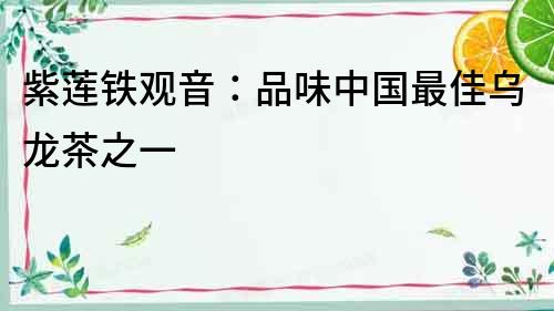 紫蓮鐵觀音：品味中國最佳烏龍茶之一