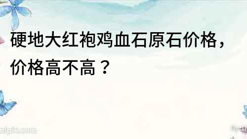 硬地大紅袍雞血石原石價格，價格高不高？