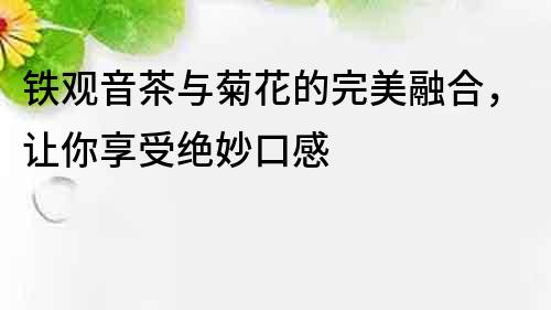 鐵觀音茶與菊花的完美融合，讓你享受絕妙口感