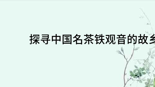 探尋中國名茶鐵觀音的故鄉(xiāng)