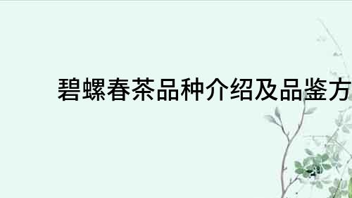 碧螺春茶品種介紹及品鑒方法