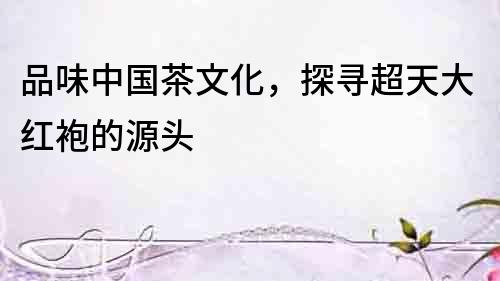品味中國茶文化，探尋超天大紅袍的源頭