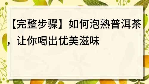 【完整步驟】如何泡熟普洱茶，讓你喝出優(yōu)美滋味