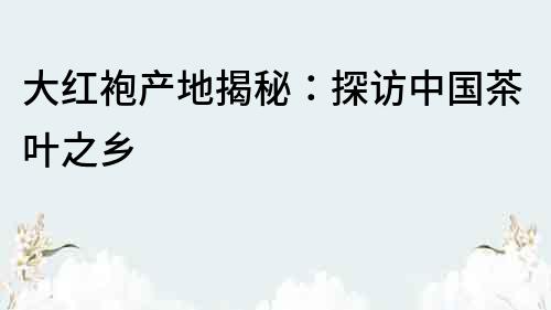 大紅袍產(chǎn)地揭秘：探訪中國茶葉之鄉(xiāng)
