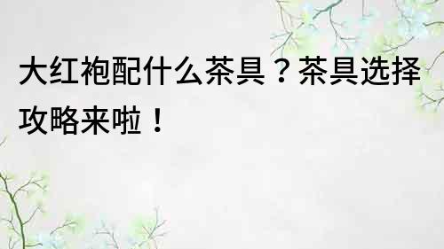 大紅袍配什么茶具？茶具選擇攻略來啦！