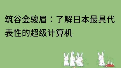 筑谷金駿眉：了解日本最具代表性的超級計算機