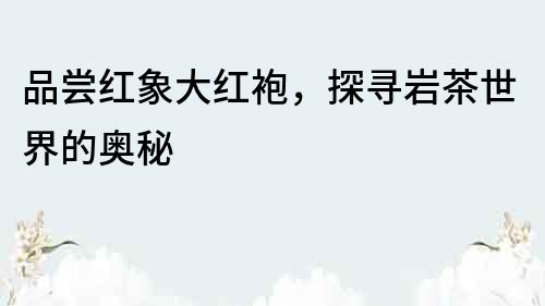 品嘗紅象大紅袍，探尋巖茶世界的奧秘