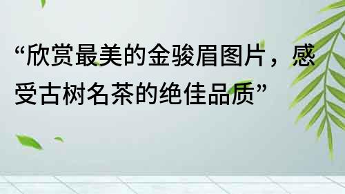 “欣賞最美的金駿眉圖片，感受古樹名茶的絕佳品質”