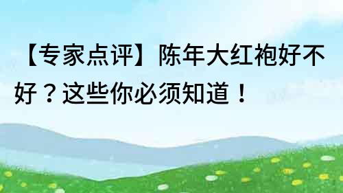 【專家點評】陳年大紅袍好不好？這些你必須知道！