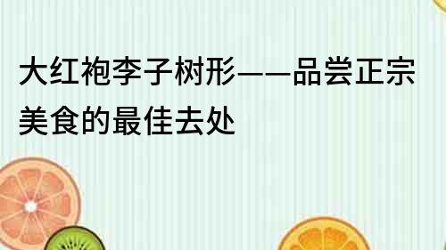 大紅袍李子樹形——品嘗正宗美食的最佳去處