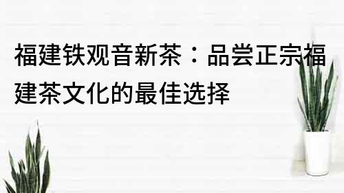 福建鐵觀音新茶：品嘗正宗福建茶文化的最佳選擇