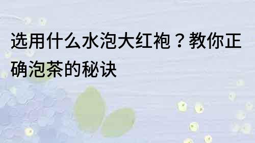 選用什么水泡大紅袍？教你正確泡茶的秘訣