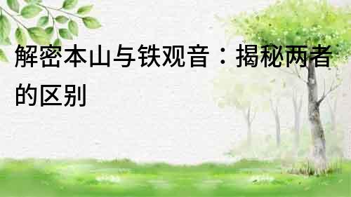 解密本山與鐵觀音：揭秘兩者的區(qū)別