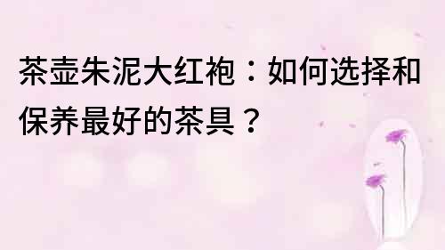 茶壺朱泥大紅袍：如何選擇和保養最好的茶具？