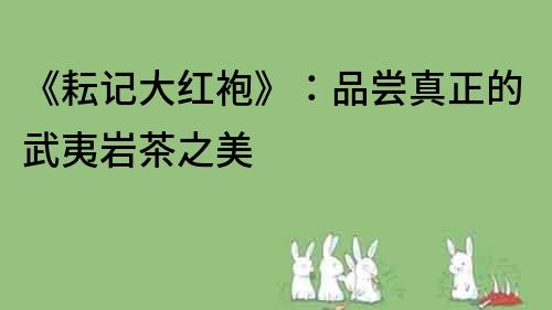 《耘記大紅袍》：品嘗真正的武夷巖茶之美