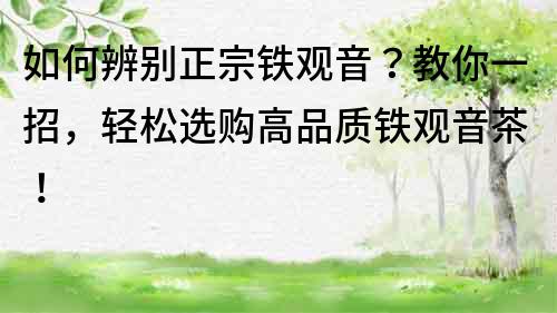 如何辨別正宗鐵觀音？教你一招，輕松選購高品質鐵觀音茶！