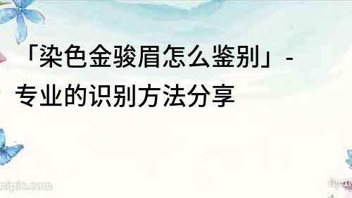 「染色金駿眉怎么鑒別」- 專業的識別方法分享